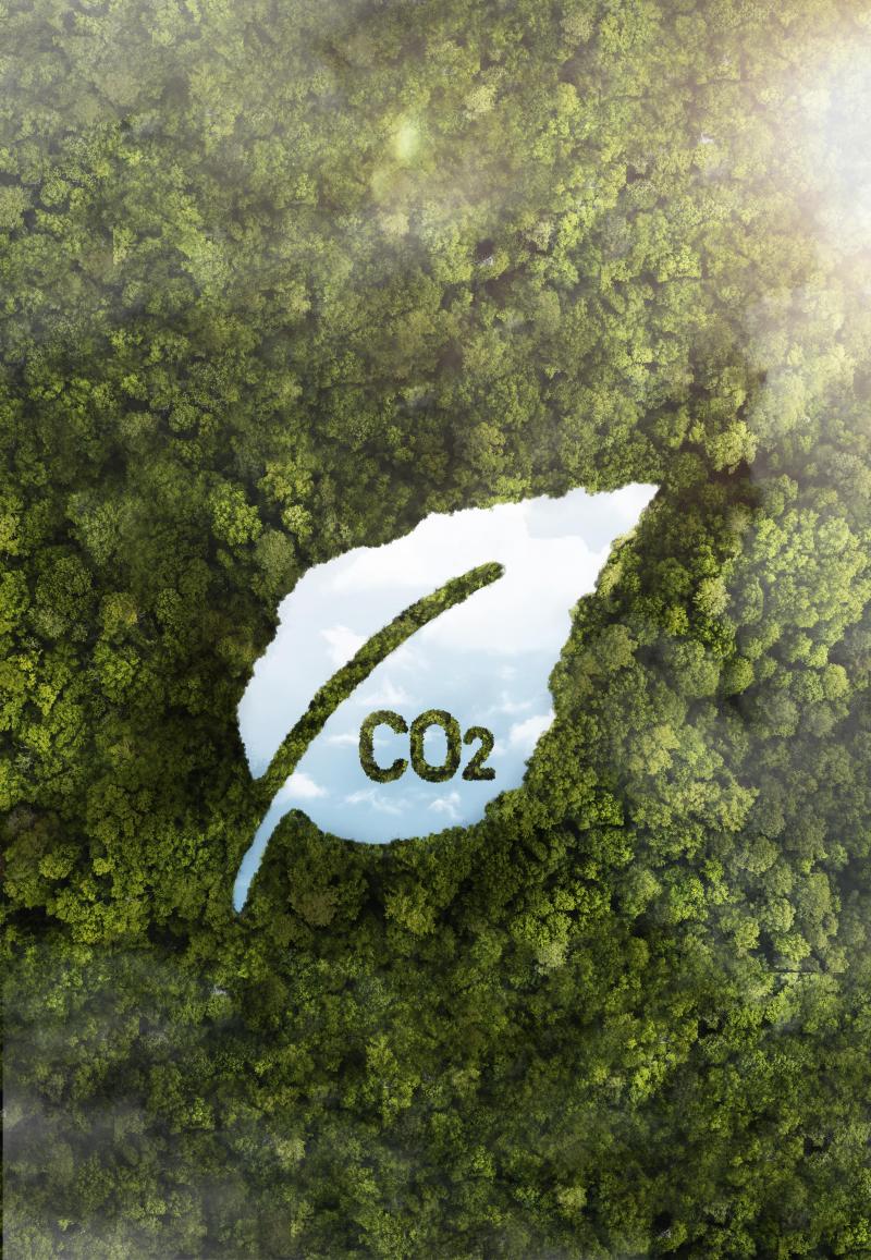 Descarbonização do Seu Negócio e Saia na Frente da Concorrência Descarbonização do Seu Negócio e Saia na Frente da Concorrência