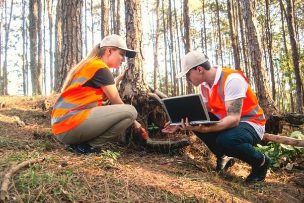 Imagem ilustrativa de Análise ruído ambiental