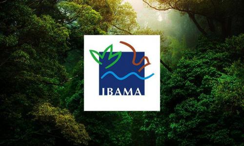 Cadastro Técnico Federal Cadastro Técnico Federal