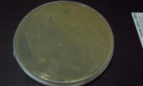 Análise E Qualidade Do Ar Interior Análise E Qualidade Do Ar Interior