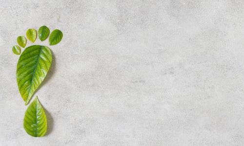 Reduza a Pegada de Carbono da Sua Empresa e Contribua para um Futuro Sustentável Reduza a Pegada de Carbono da Sua Empresa e Contribua para um Futuro Sustentável