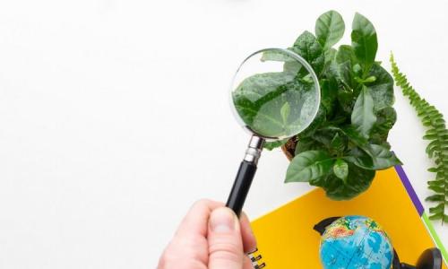 MANTENHA SUA EMPRESA EM CONFORMIDADE: OBRIGAÇÕES AMBIENTAIS ANUAIS MANTENHA SUA EMPRESA EM CONFORMIDADE: OBRIGAÇÕES AMBIENTAIS ANUAIS