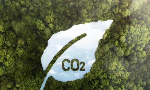 Descarbonização do Seu Negócio e Saia na Frente da Concorrência Descarbonização do Seu Negócio e Saia na Frente da Concorrência