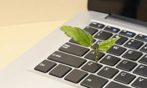 Por que investir em uma gestão ambiental eficaz durante o licenciamento ambiental? Por que investir em uma gestão ambiental eficaz durante o licenciamento ambiental?